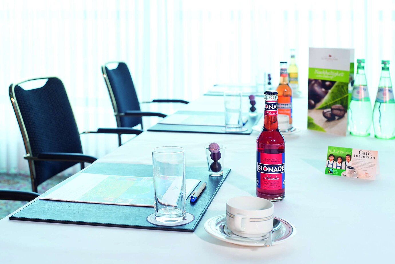Detalle de la sala de reuniones | Maritim Hotel Kaiserhof Heringsdorf