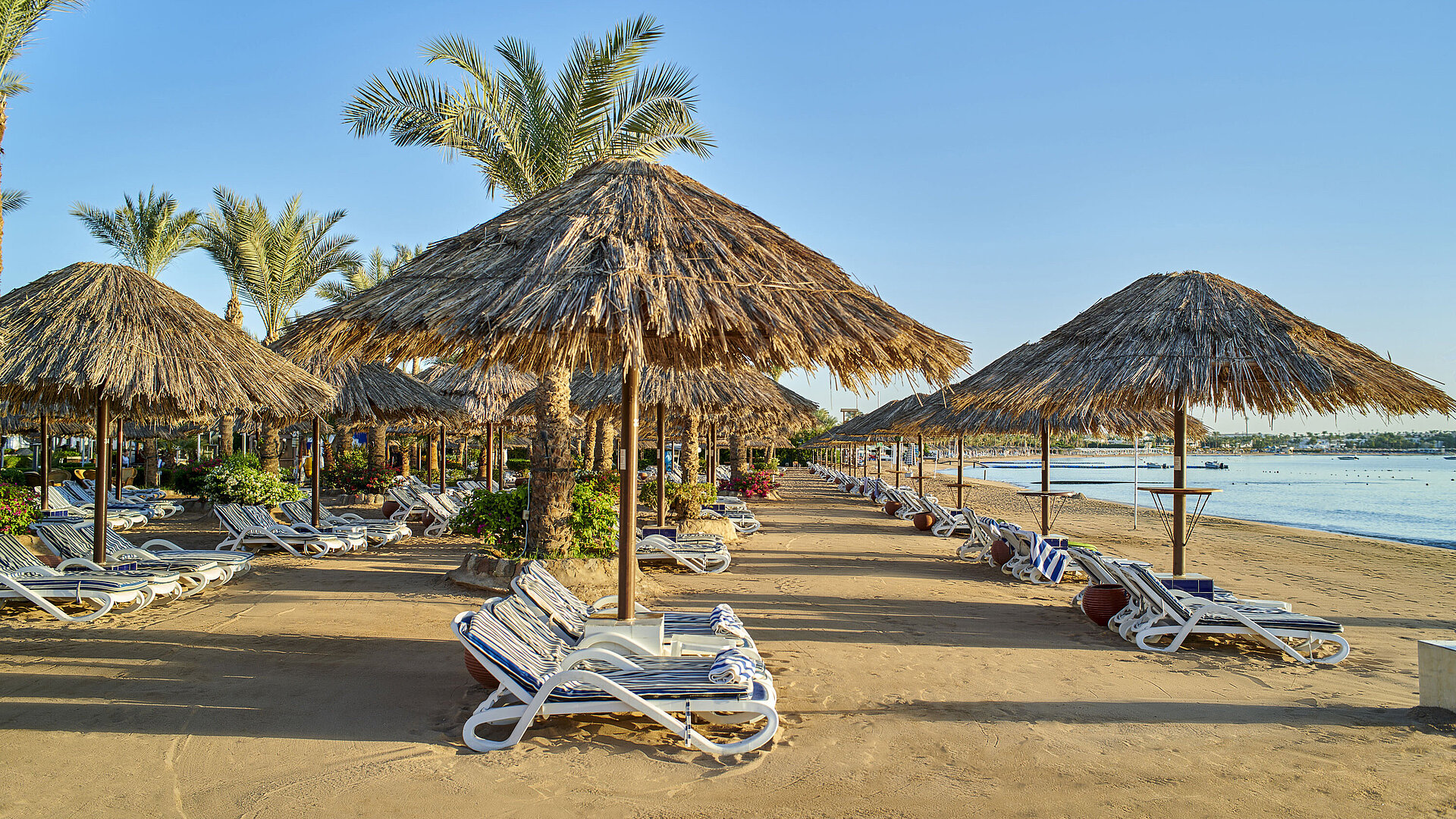 Plage | Maritim Hotel Sharm El Sheikh