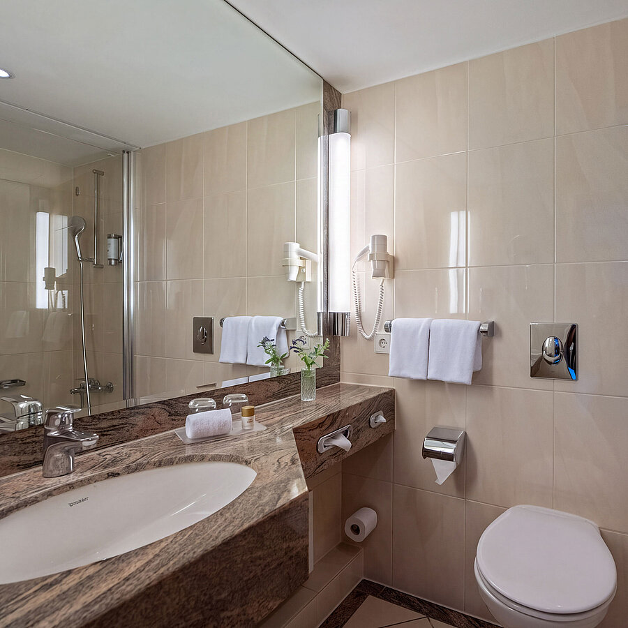 Bagno con vasca, lavabo, WC e grande specchio