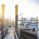 Harbour © WFB - Carina Tank