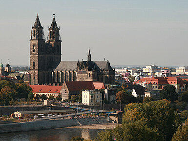Magdeburg Cathedral with green trees and a view of the Elbe, surrounded by historic buildings.