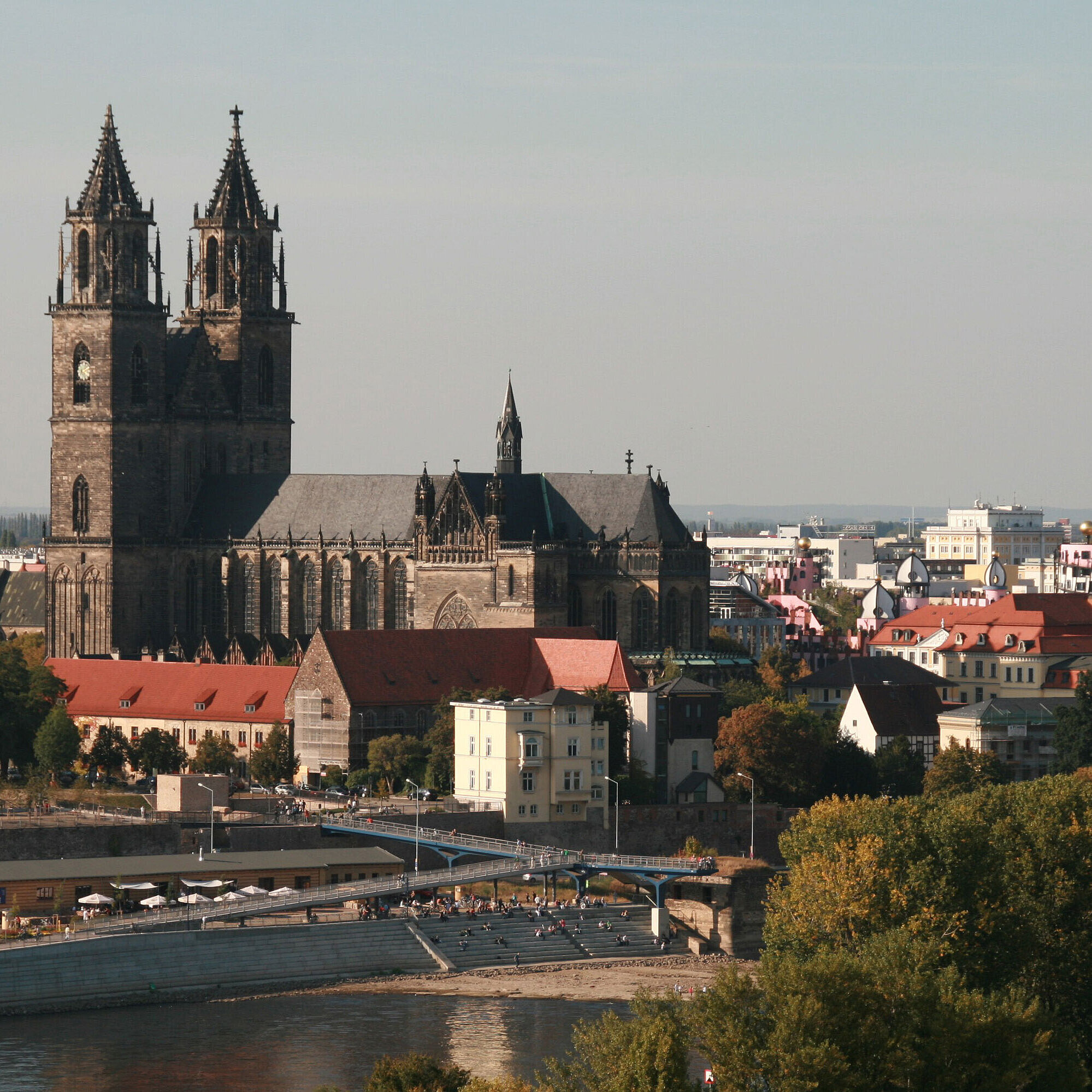 Magdeburg Cathedral with green trees and a view of the Elbe, surrounded by historic buildings.