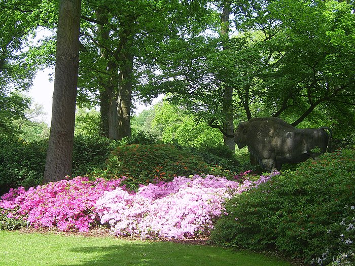 Rhododendronpark en Berlín