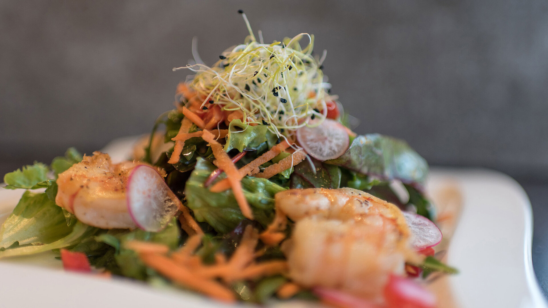 Salad with prawns