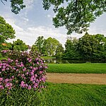 Garden in Darmstadt