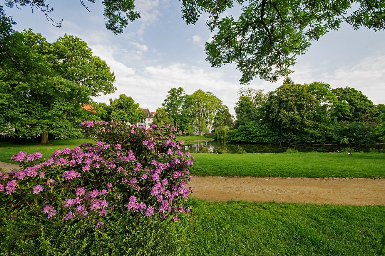 Garden in Darmstadt Garden in Darmstadt