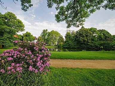 Garden in Darmstadt