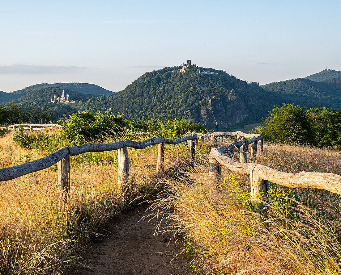 © frakala - AbobeStock.com Hiking trail in the Siebengebirge near Königswinter with views of wooded hills and natural scenery.
