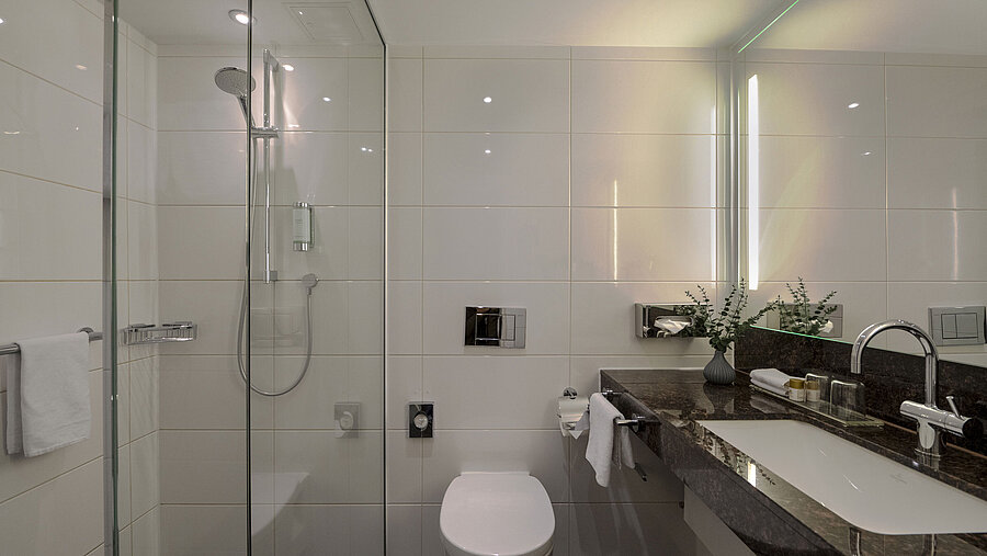 Modern bathroom in Maritim Hotel Darmstadt with glass shower, elegant sink counter, and stylish details.