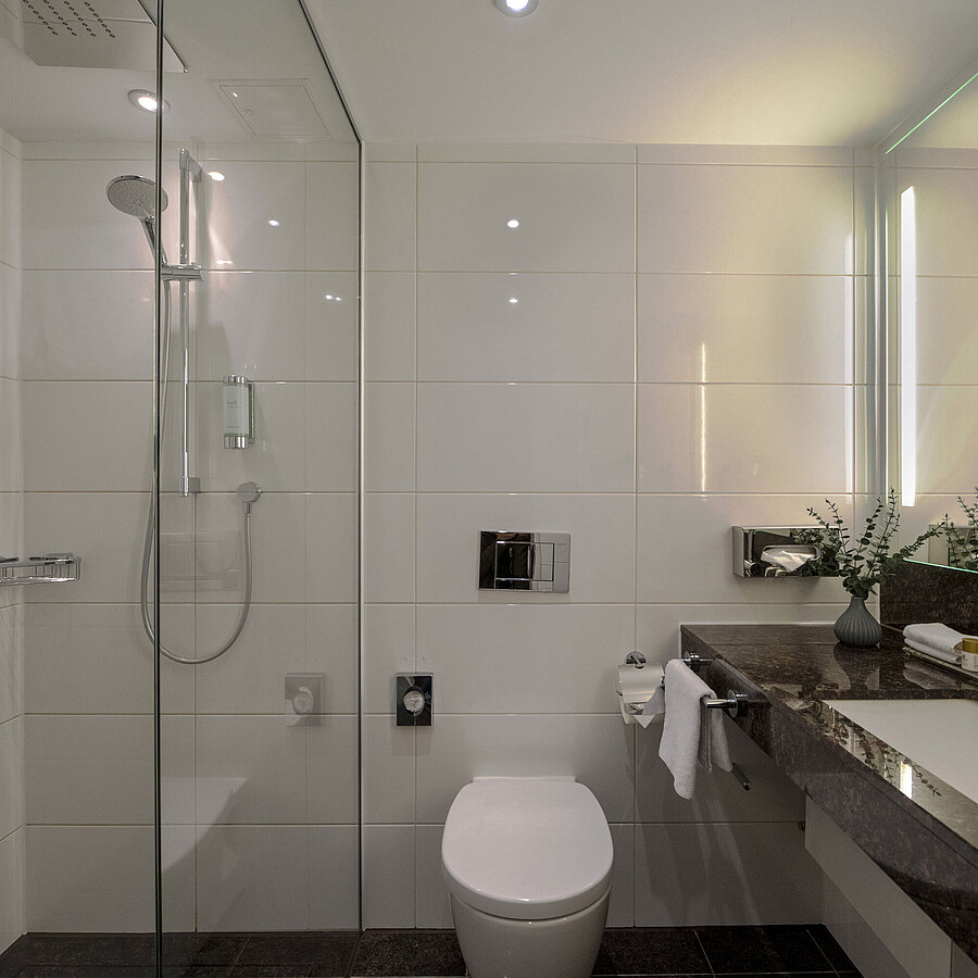 Baño moderno en el Hotel Maritim Darmstadt con ducha de cristal, encimera elegante y detalles con estilo.