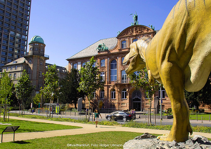 Senckenberg museo natural