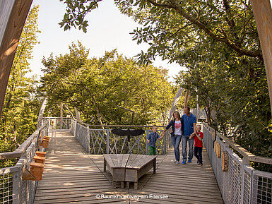 Treetop path at the Edersee