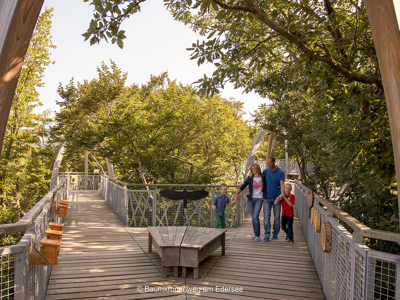 Treetop path at the Edersee