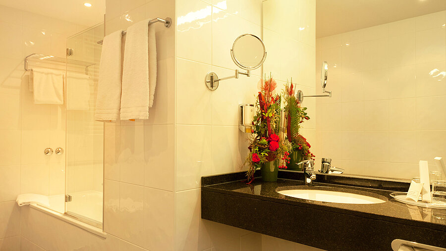 Bathroom | Star-Apart Hansa Hotel Wiesbaden