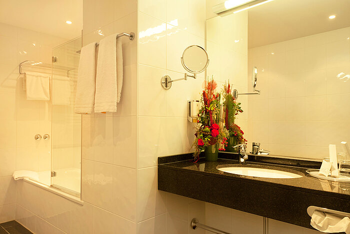 Bathroom | Star-Apart Hansa Hotel Wiesbaden