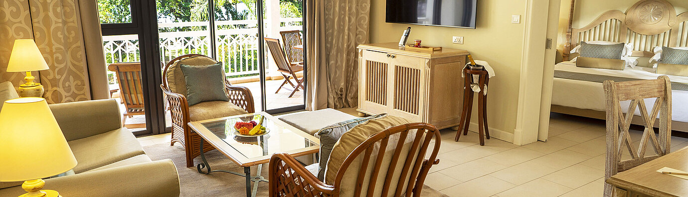 Suite Spacious living area with TV, comfortable seating, and direct access to the bedroom