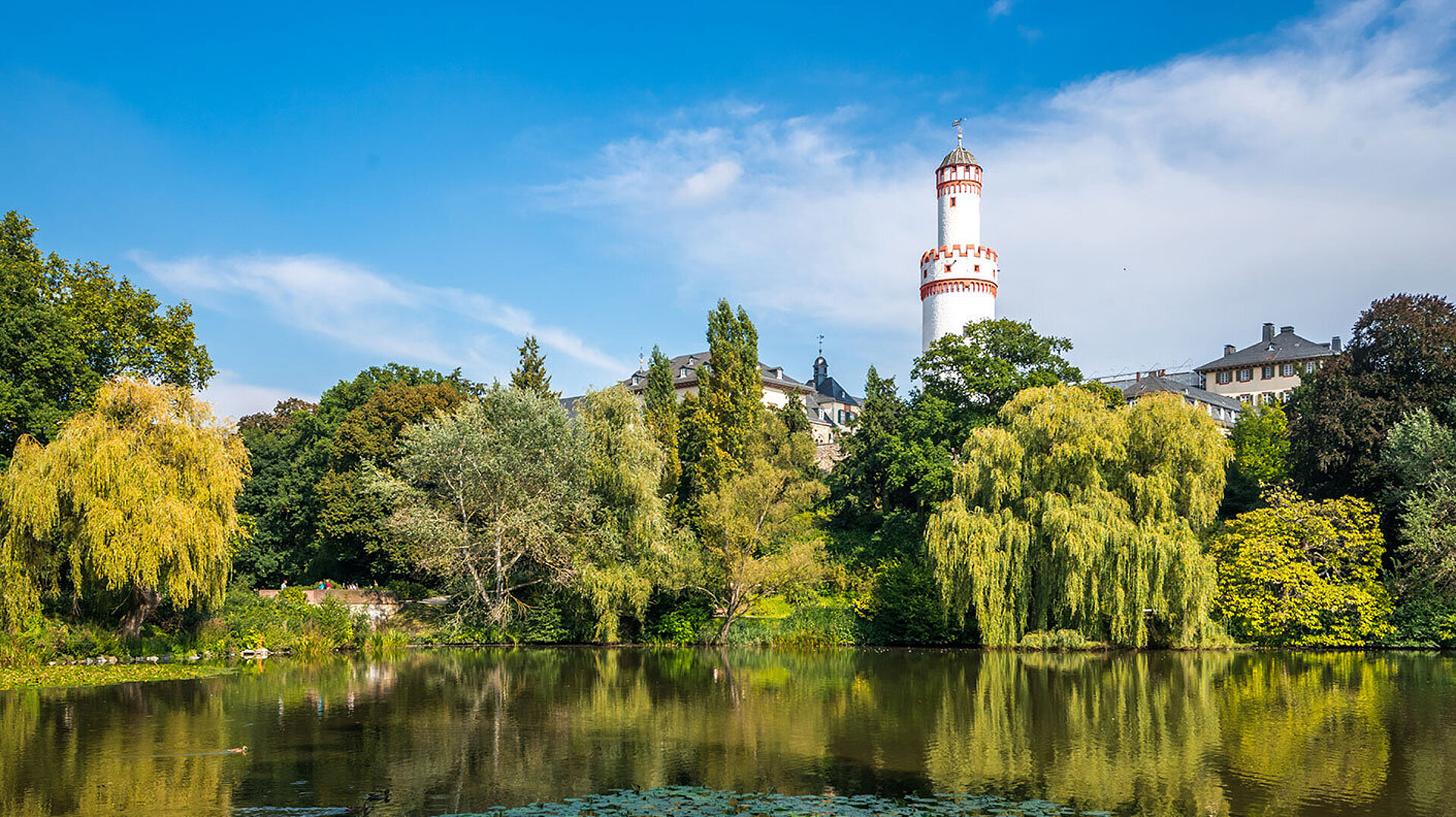 Vista sul parco termale di Bad Homburg con un laghetto di ninfee, una vegetazione rigogliosa e la Torre Bianca sullo sfondo.