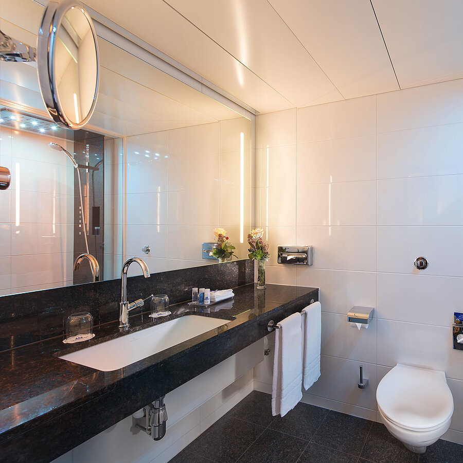 Bagno spazioso con doccia, WC, specchio e lavabo in granito