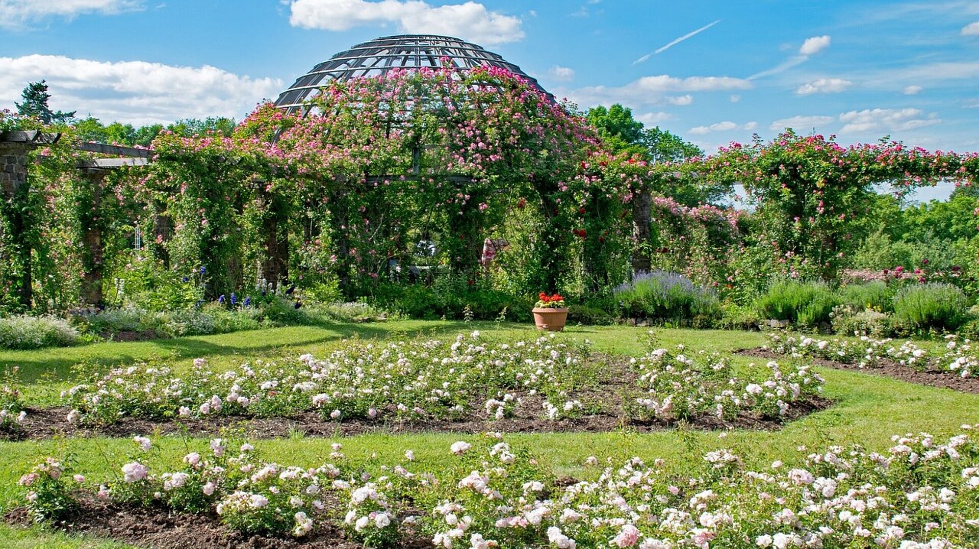 Rosenhöhe Darmstadt