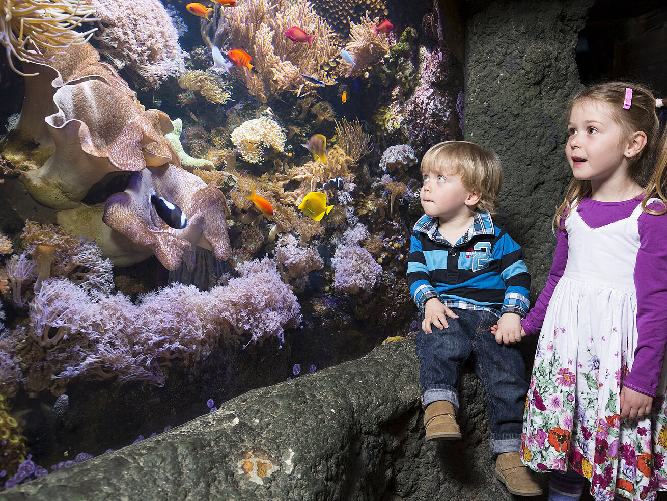 Sea Life Center 