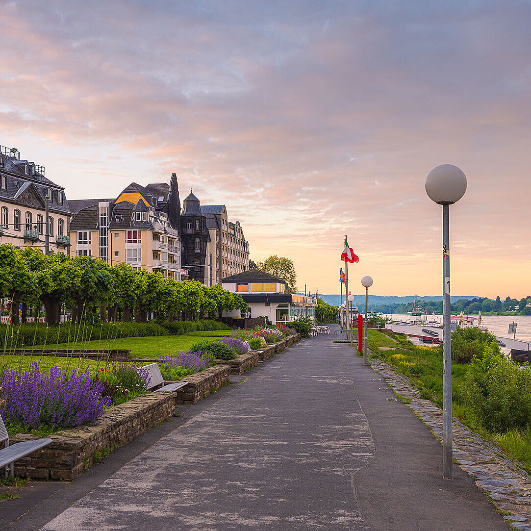 © lic0001 - Adobestock.com Rhine promenade in Königswinter with flower beds, walking path and views of the River Rhine at dusk.