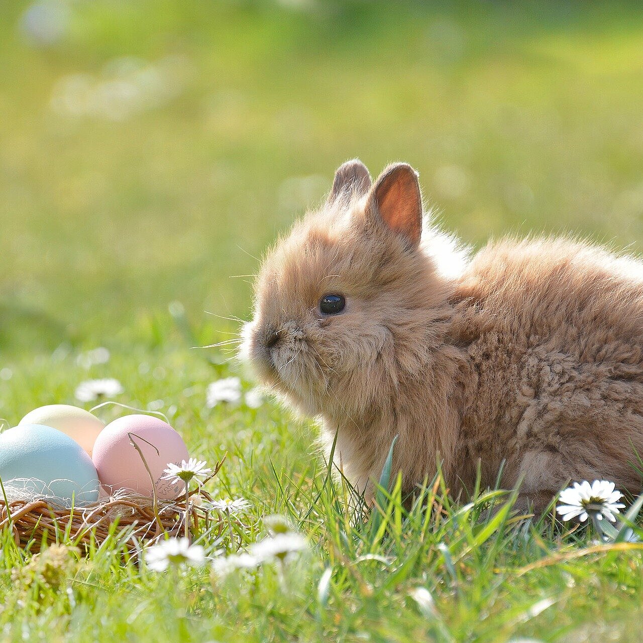 Easter