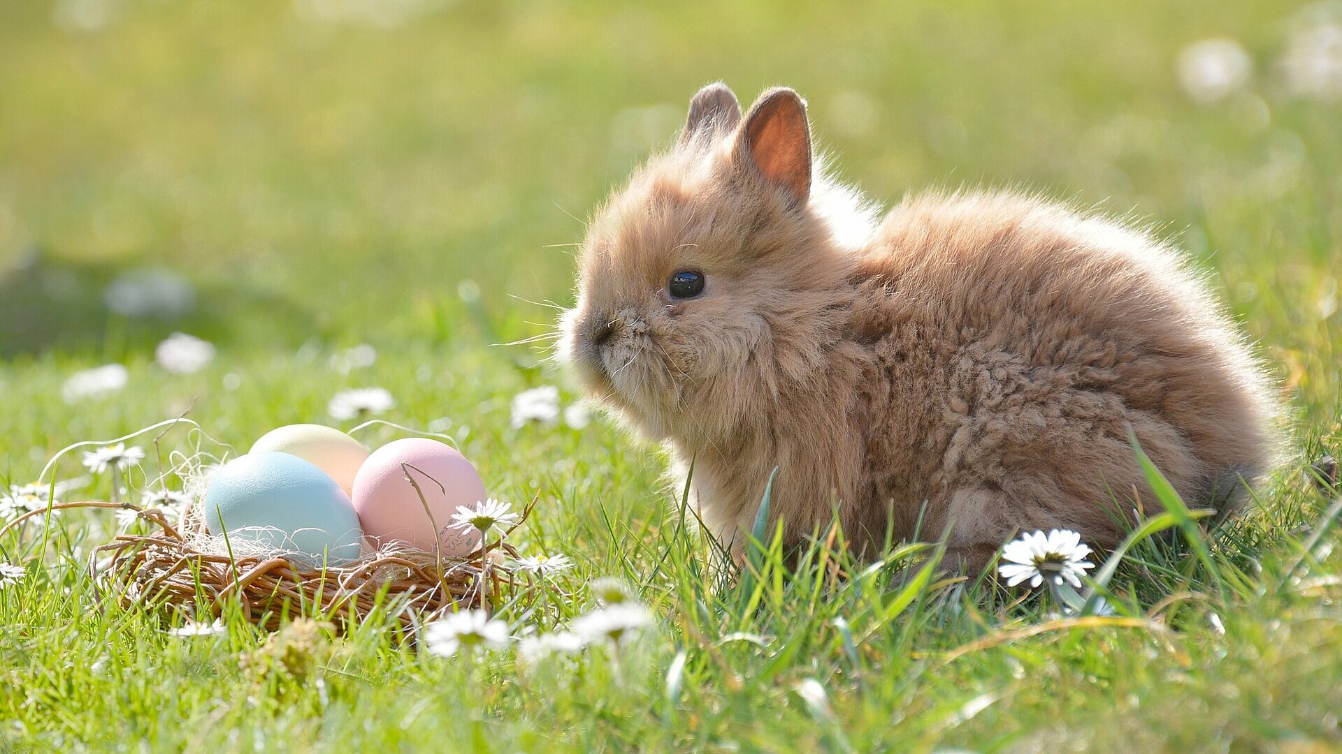 Easter