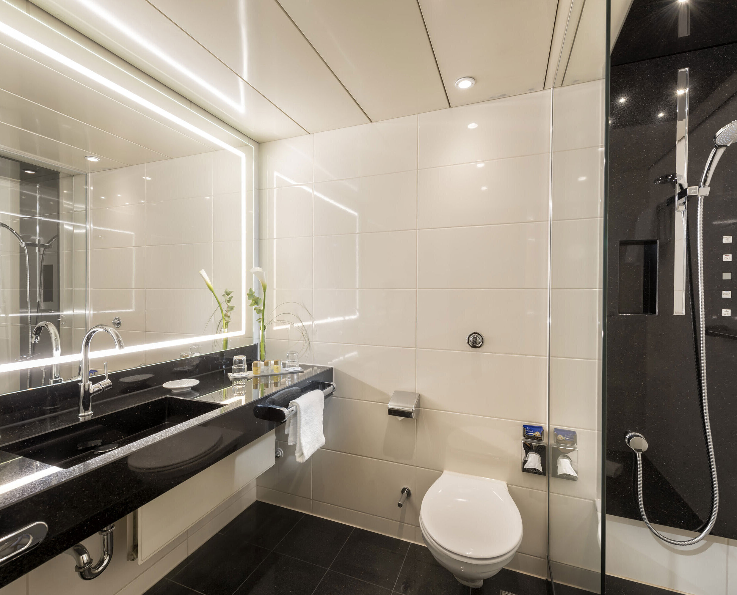 Cuarto de baño con ducha Baño moderno con ducha amplia, lavabo elegante, artículos de tocador de alta calidad y diseño sofisticado en el Hotel Maritim Bonn.