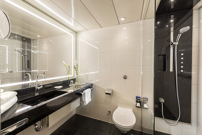 Baño moderno con ducha amplia, lavabo elegante, artículos de tocador de alta calidad y diseño sofisticado en el Hotel Maritim Bonn.