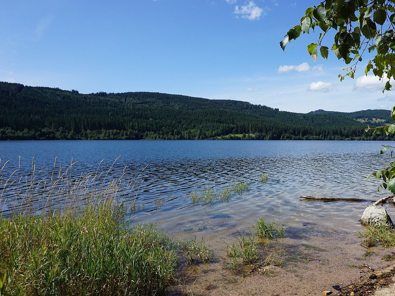 Schluchsee Schluchsee