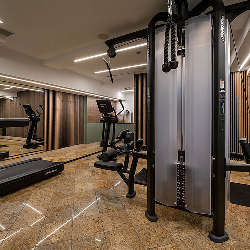 Sala fitness Sala fitness moderna al Maritim Hotel Dresden con attrezzature fitness.