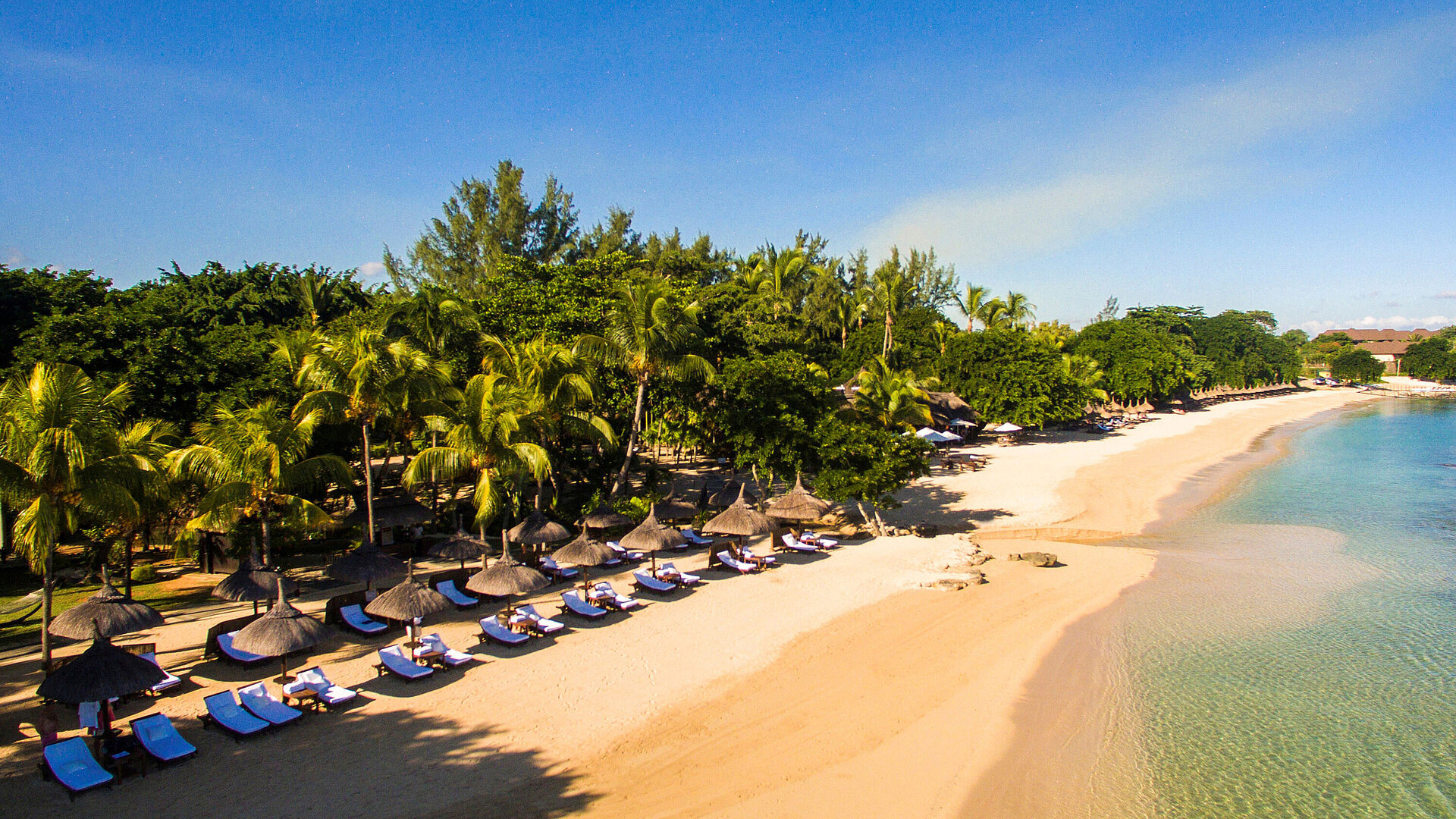 Beach Palm-lined beach with sun loungers and thatched umbrellas by a quiet sandy shore