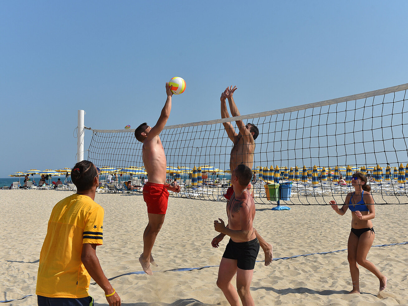 Beach volley Beach volley | Maritim Hotel Paradise Blue Albena
